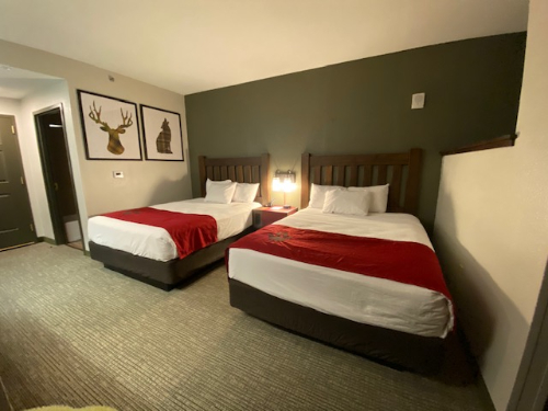 Great Wolf Lodge Guest Room